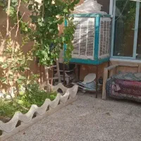 سوییت