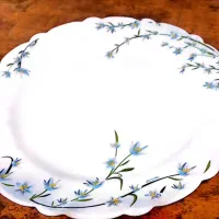 دومدل بشقاب