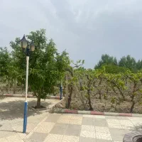 قطعه باغ جهت سرمایه گذاری در امامزاده(پشت بر)