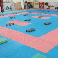 دعوت به همکاری مربیان رزمی