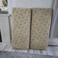 یک جفت پشتی سالم