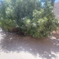 ویلایی-خیابان-بجنوردی-انتهای-اینه-خانه