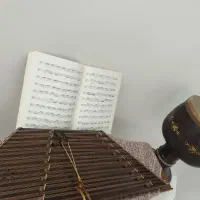 آموزش سنتور و آموزش تنبک توسط بانومخصوص بانوان