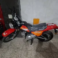 مینی کراس