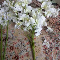 کل مصنوعی خارجی