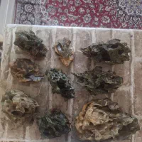 سنگ دراگون