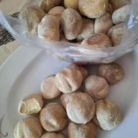 کشک گوسفند