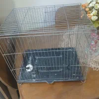 قفس پرنده