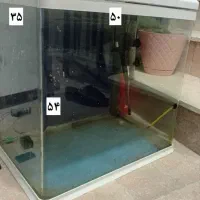 اکواریوم شیشه خم شرکتی