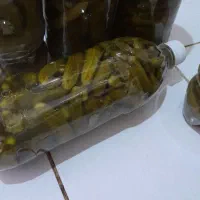 خیار شور درجه یک