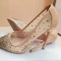 کفش مجلسی