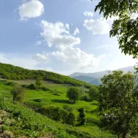 اجاره خانه در روستای بکر و جنگلی ناپشته ، کلیبر