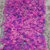 گرین وال(شکوفه مرداب،بنفش)