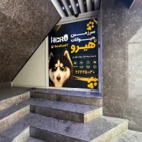 استخدام کارگر خط تولید سوسیس و..