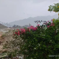 فروش ویلایی ۴۵ گزی اسکلت بتنی ۳ خوابه ذوالفقاری