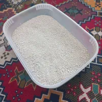 ظرف خاک گربه