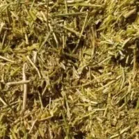 فروش کاه عدس