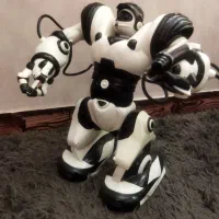 ربات