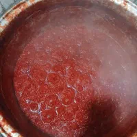 رب خانگی