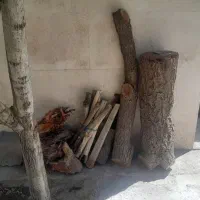 فروش چوب