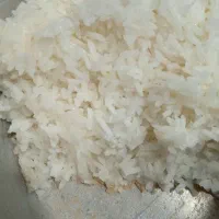 برنج مخصوص خانوار
