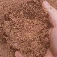 آرد جو آرد ذرت پودر خرما خوراک دام