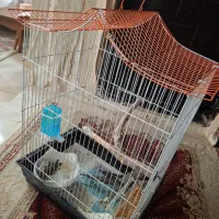 قفسه پرنده