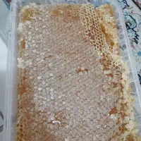 عسل وحشی کوهی خلخال