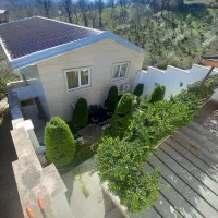 کل خدمات باغی هرس درخت وتمیز کاری باغ باغچه ویلا