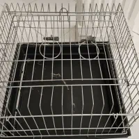 قفس خرگوش و پرنده
