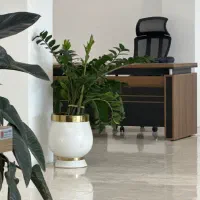 نیروی خدماتی خانم