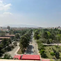 علامه شمالی