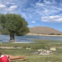 فروش دو قطعه زمین باغی در بهترین موقعیت