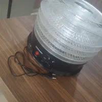 میوه خشک گن گاسونیک