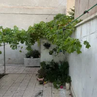 اجاره خانه ویلایی دربست