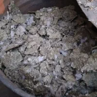 سلام ۱۵ گونی کود کبوتر فروشی