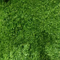 سبزی خورد شده 65000تومن