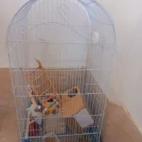 قفس بزرگ شیک