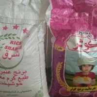 برنج عنبربو خوزستان ،چای کله مورچه دبش وبلوط