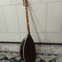 چگور فراهانی فیش خور فروشی
