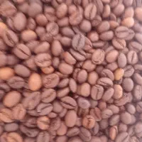 استخدام فروشنده خانم