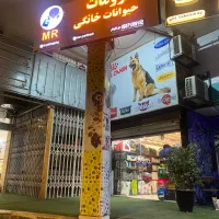 پت شاپ مستر