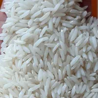 فروش برنج هاشمی