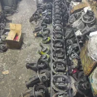 فروش انواع کله گاوی