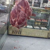کارگر ماهر قصابی ومرغ