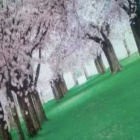 نقاشی ساختمان