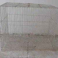 قفس
