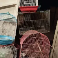 قفس پرنده