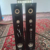 اسپیکر معامله با مرغ