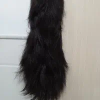 کلاه گیس سالم